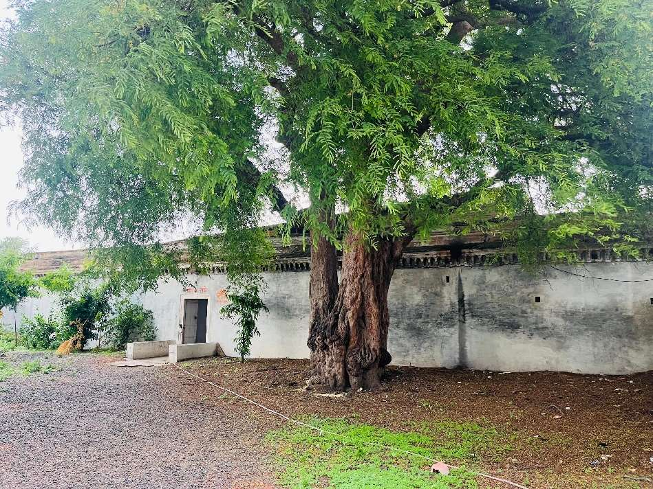 Nagar Palika Khachrod